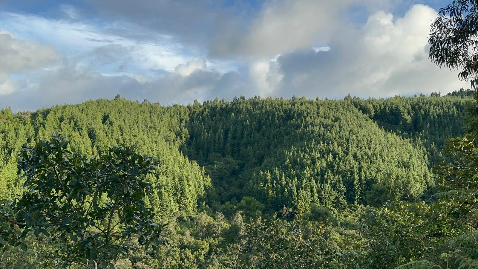 Aerial view of Kangero Company's modern agricultural facilities