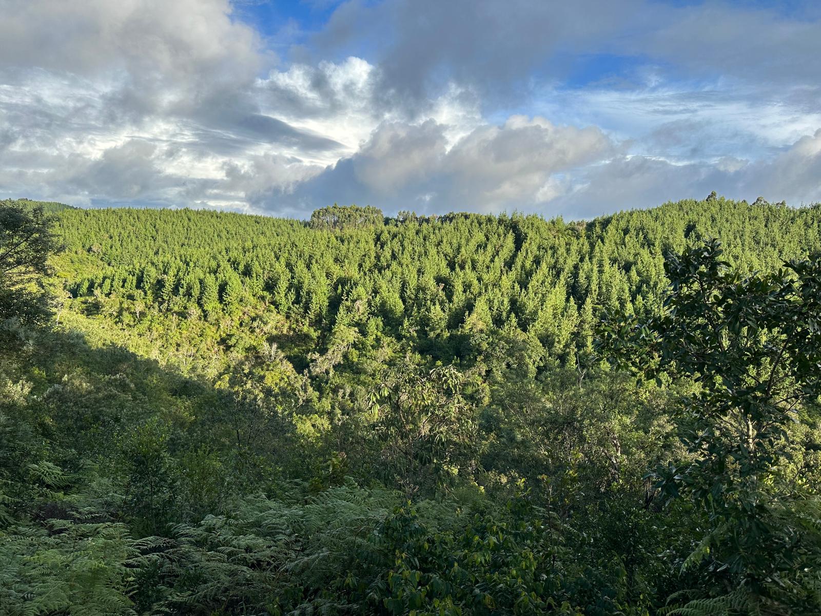 Overview of Kangero's integrated agricultural operations showing all three ventures