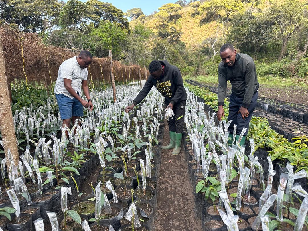 450+ jobs created across regions